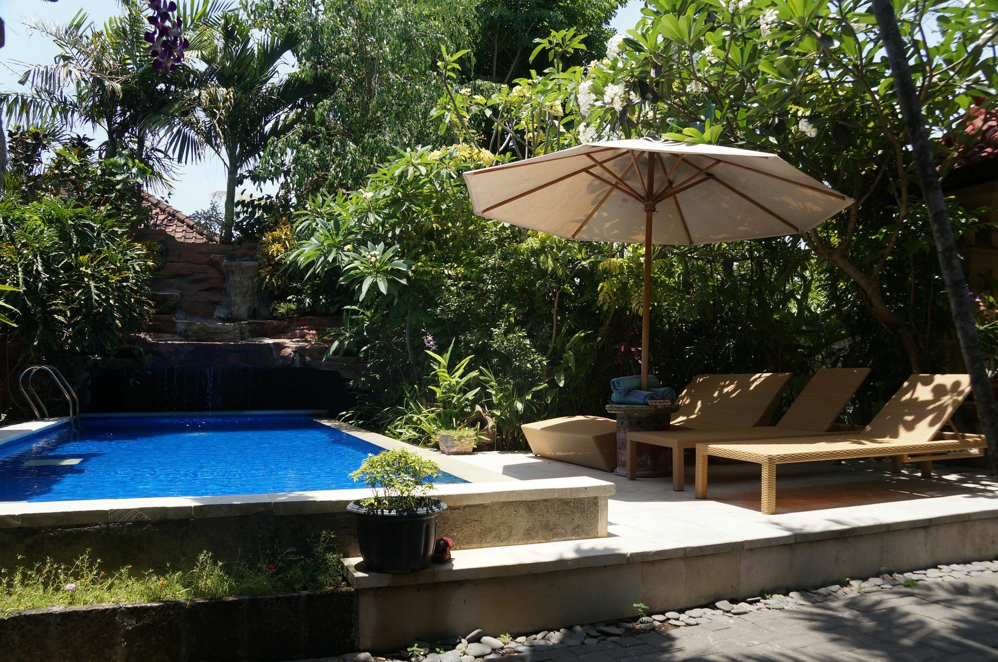 Aahh Bali Bed And Breakfast 짐바란 외부 사진